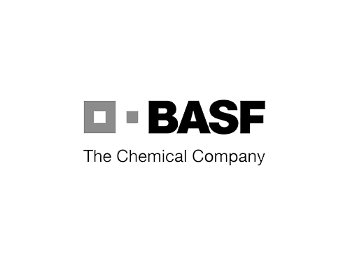Focusun global partner: BASF