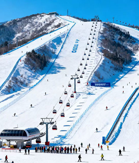 Focusun ski resort design project in New Zealand featuring ski slope planning, snowmaking systems, and winter sports facilities.
